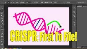 crispr-and-the-transatlantic-race-to-the-patent-office